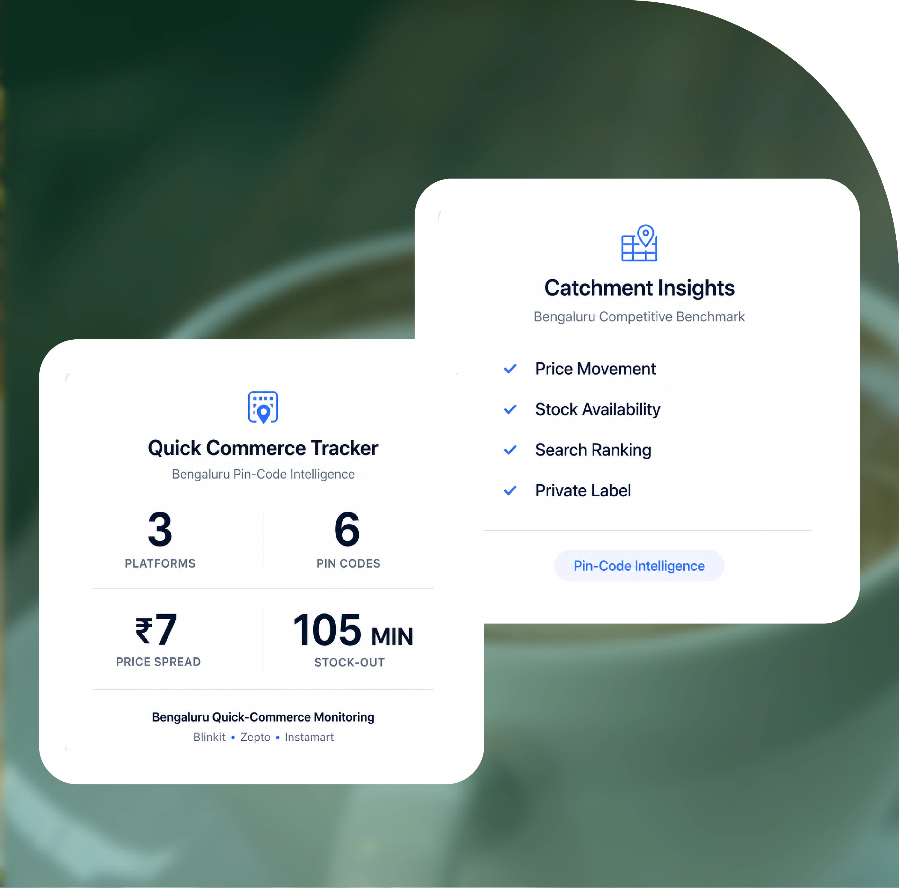 Report Overview